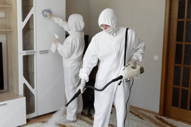 Best Asbestos and Lead Testing During Mold Inspection  in Bear Creek, AK